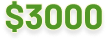 3000